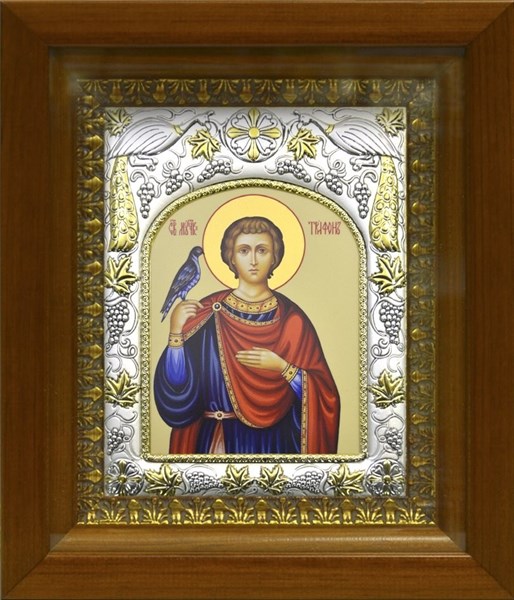 Икона Трифон Святой мученик освященная в киоте 20х24 см 239595 - фото 18704