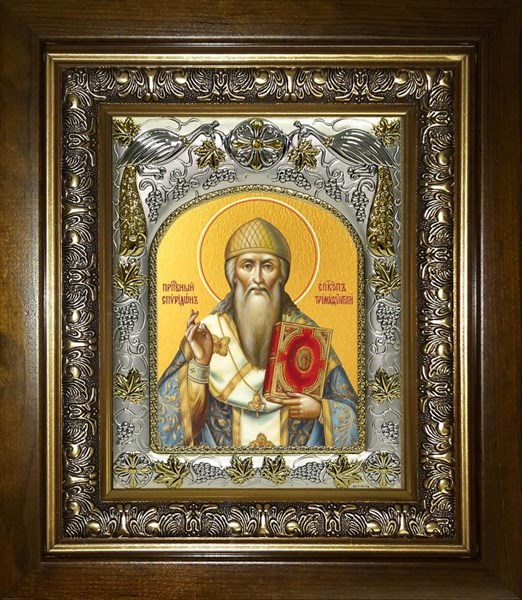 Икона Спиридон Тримифунтский святитель, в киоте 20х24 см 23269