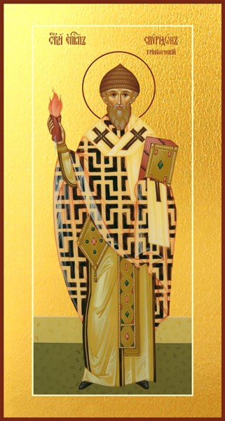 Икона Спиридон Тримифунтский святитель 23289