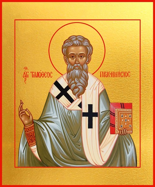 Икона Тимофей, епископ Проконесский, Cвятитель 23342