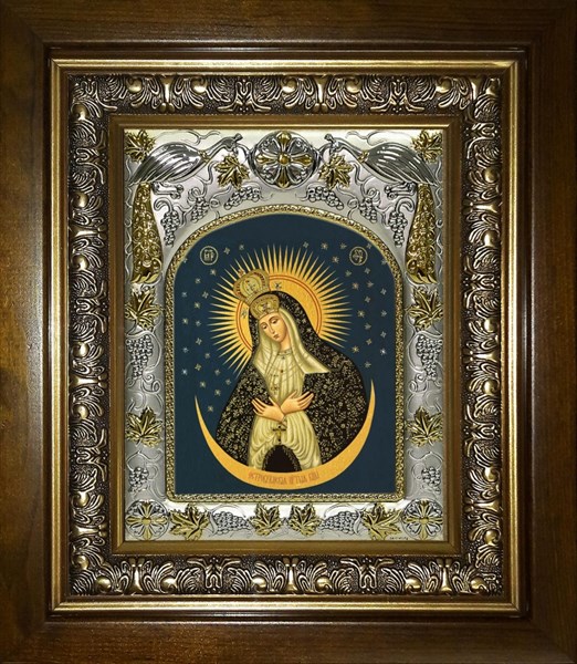 Икона Остробрамская икона Божией Матери, в киоте 20х24 см 24317
