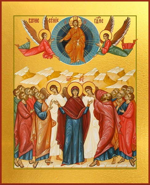 Икона Вознесение Господне 25339
