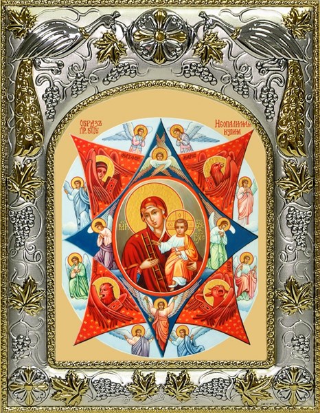 Икона Неопалимая Купина, икона Божией Матери, 14х18 см 27478 - фото 41101