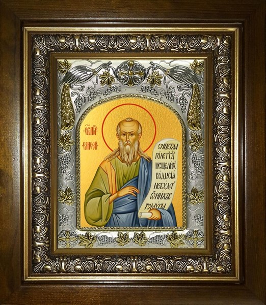 Икона Елисей пророк, в киоте 20х24 см 27994