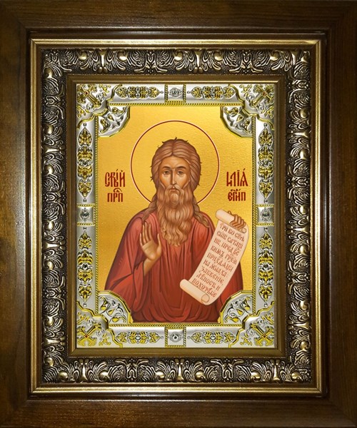 Икона Илия (Илья) Египетский, в киоте 24х30 см 28324