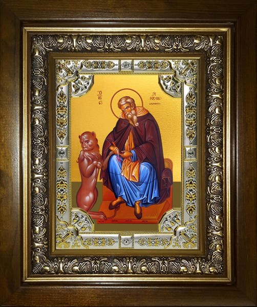 Икона Герасим Иорданский преподобный, в киоте 24х30 см 28359