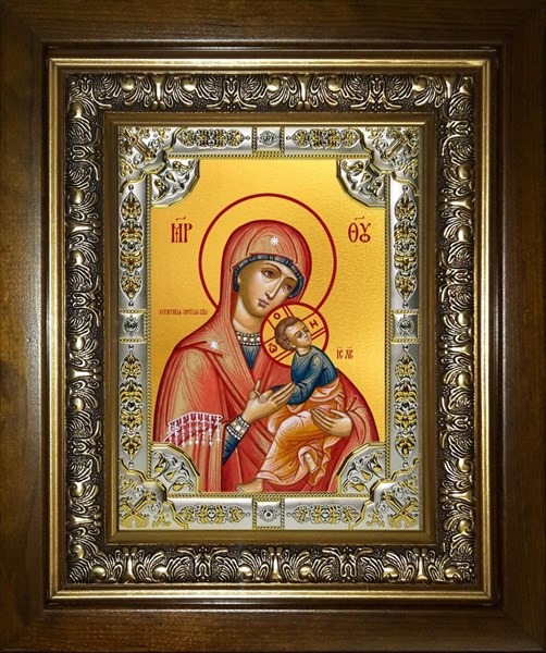 Икона Страстная икона Божией Матери, в киоте 24х30 см 28564 - фото 42159