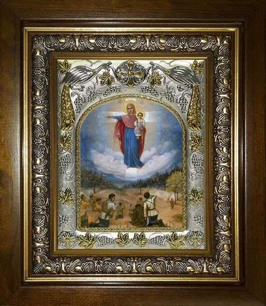 Икона Августовская Божия Матерь (Явление Богоматери русскому воинству), в киоте 20х24 см 29307