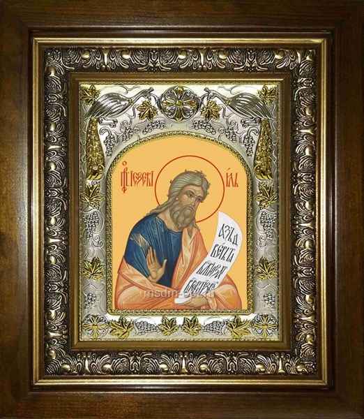 Икона Иезекииль пророк, в киоте 20х24 см 29408