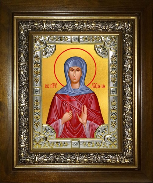 Икона Ия мученица, в киоте 24х30 см 29440