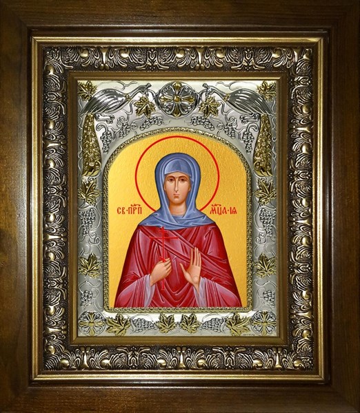 Икона Ия мученица, в киоте 20х24 см 29896