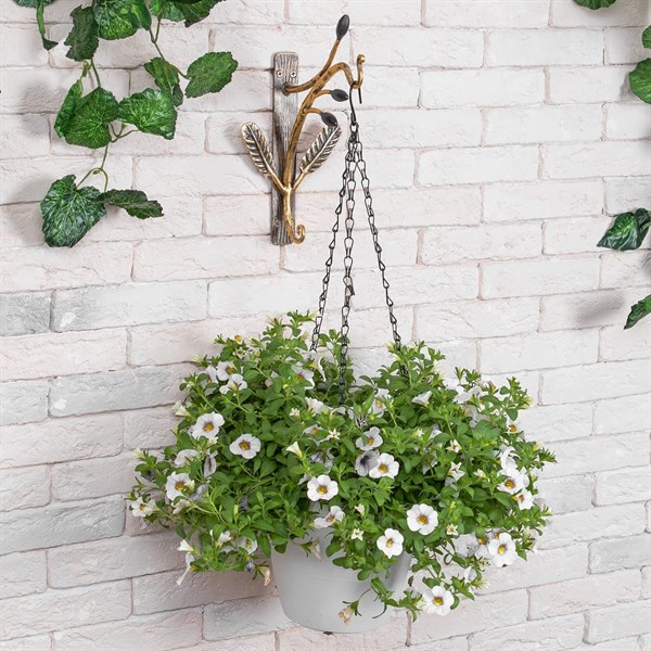 Кронштейн для цветов Oliva Branch Амбер Bo79030_3193