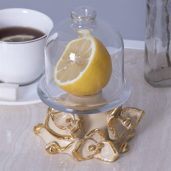 Лимонница Орхидея Лайм Айвори Bo52125_3847