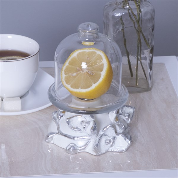 Лимонница Орхидея Лайм Белая Bo52125_3848