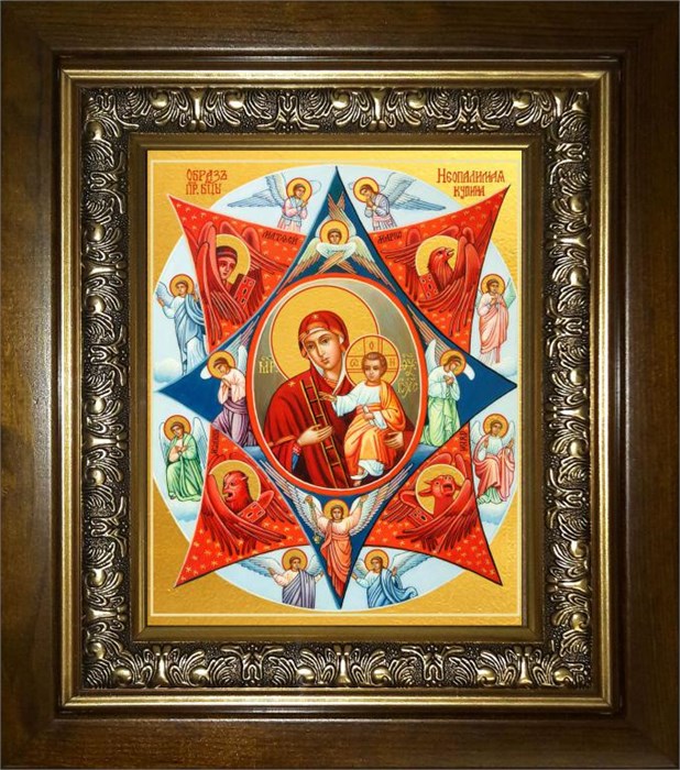 Неопалимая Купина икона Божией Матери 14х18 в киоте 20х24 km_25_554
