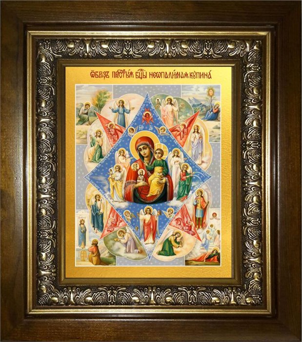 Неопалимая Купина, икона Божией Матери 14х18 в киоте 20х24 km_25_592