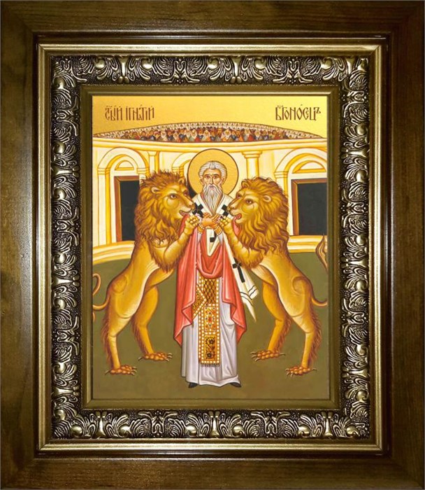 Игнатий Богоносец Антиохийский, епископ 14х18 в киоте 20х24 km_25_1212
