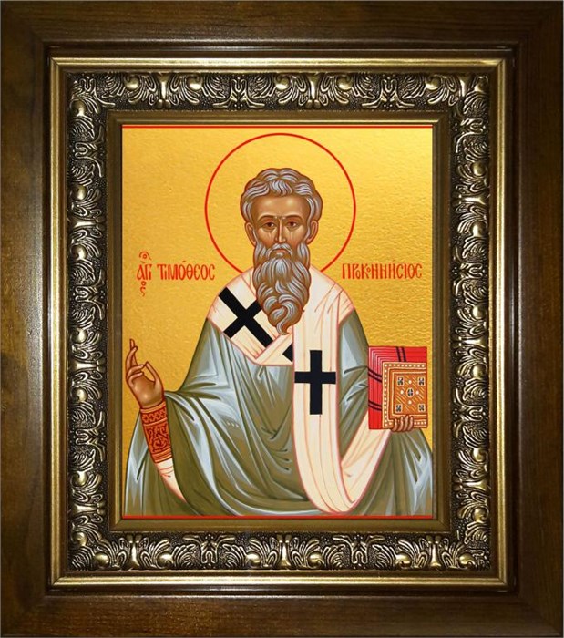 Тимофей, епископ Проконесский, Cвятитель 18х24 в киоте 24х30 km_25_1725