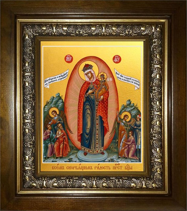 Всех скорбящих Радость, икона Божией Матери 18х24 в киоте 24х30 km_25_1974