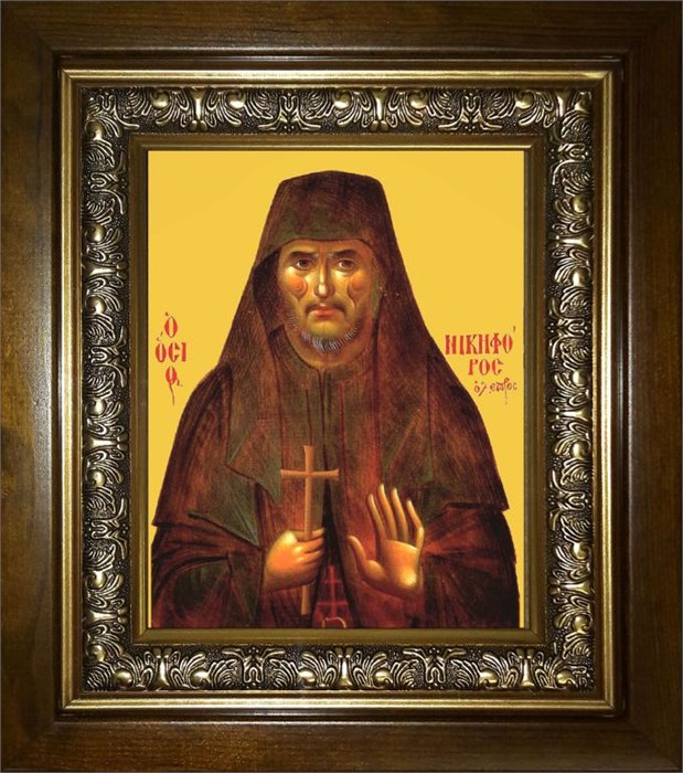Никифор Преподобный Прокаженный 18х24 в киоте 24х30 km_25_2423