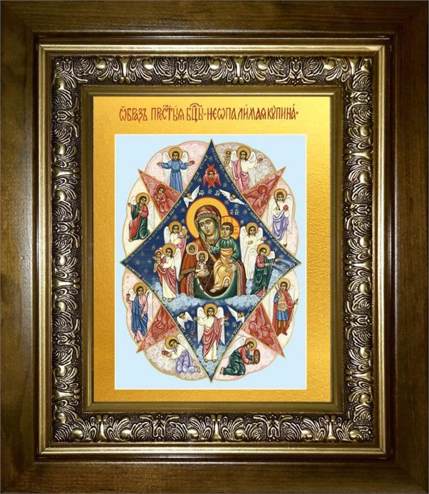 Неопалимая Купина икона Божией Матери 14х18 в киоте 20х24 km_25_133