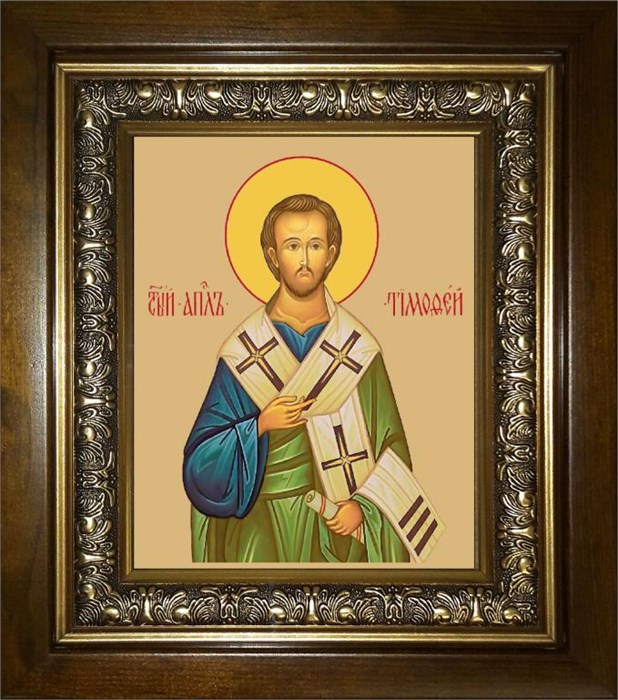 Тимофей апостол 14х18 в киоте 20х24 km_25_249