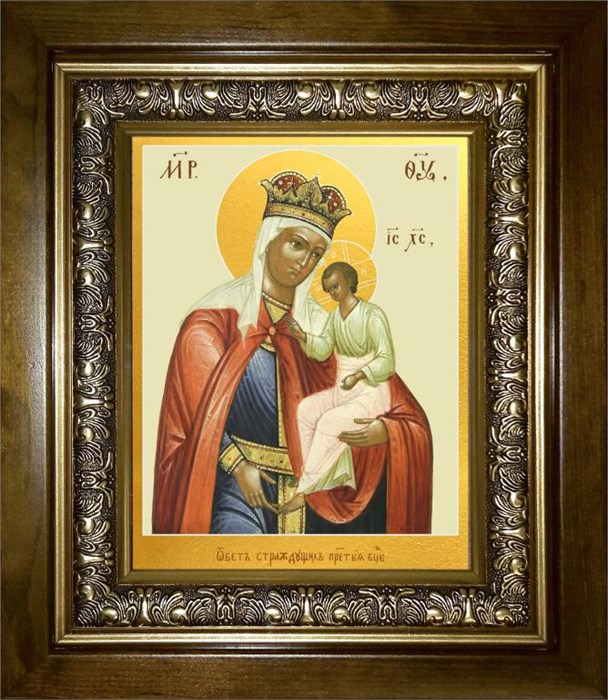 Избавление от бед страждущих, икона Божией Матери 18х24 в киоте 24х30 km_25_1502