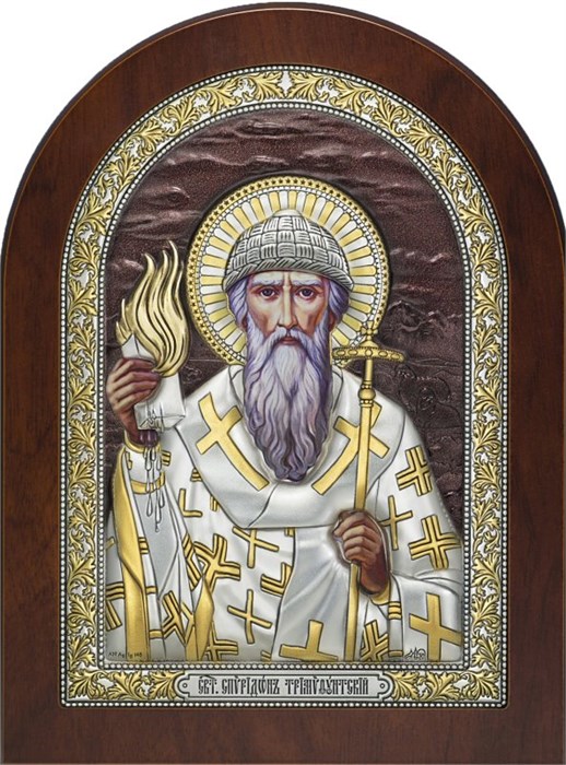 Икона Святого Спиридона Тримифунтского SIL239