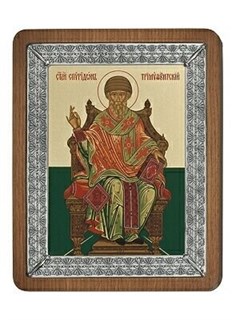 Икона Спиридон Тримифунтский серебряная ювелирная 241909