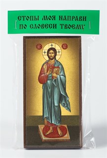 Икона на дереве 6х12 канвас ярлык Спаситель 237847