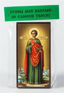 Икона на дереве 6х12 канвас ярлык Пантелеимон 237840