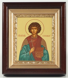 Икона в киоте 11х13 золочёная Пантелеимон 235774