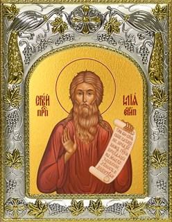 Икона Илия (Илья) Египетский, 14х18 см 21341