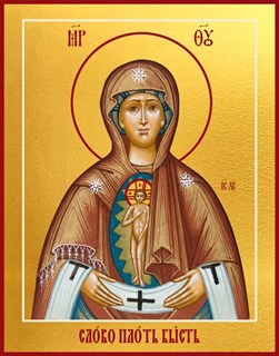 Слово плоть бысть, икона Божией Матери 21480
