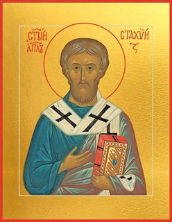 Икона Стахий епископ Византийский, апостол 21850