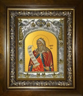 Икона Илия (Илья) Пророк, в киоте 20х24 см 22291