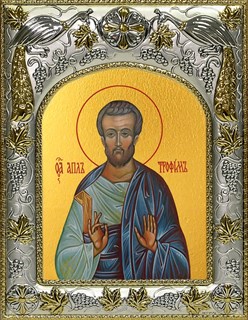 Икона Трофим апостол от семидесяти, 14х18 см 22544