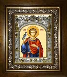 Икона Трифон мученик, в киоте 20х24 см 22962