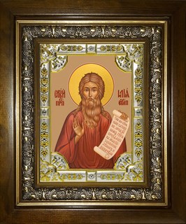 Икона Илия (Илья) Египетский, в киоте 24х30 см 23078