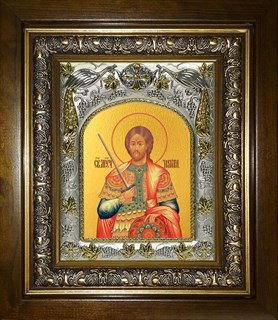 Икона Никита Готфский Константинопольский, великомученик, в киоте 20х24 см 23148