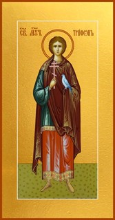 Икона Трифон мученик 23449