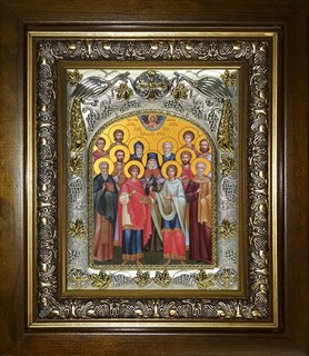 Икона Собор святых целителей, в киоте 20х24 см 23583