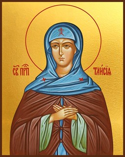 Икона Таисия Египетская преподобная 23587