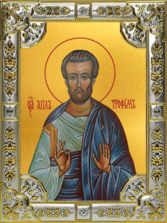 Икона Трофим апостол от семидесяти, 18х24 см, со стразами 24451