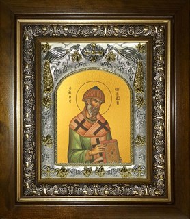 Икона Спиридон Тримифунтский святитель, в киоте 20х24 см 24655
