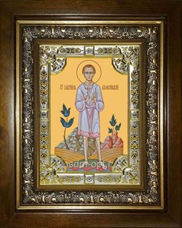 Икона Гавриил Белостокский младенец, мученик, в киоте 24х30 см 25031