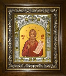 Икона Илия (Илья) Египетский, в киоте 20х24 см 25090