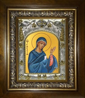 Икона Емилия, Эмилия Кесарийская (Каппадокийская) преподобная, в киоте 20х24 см 25688
