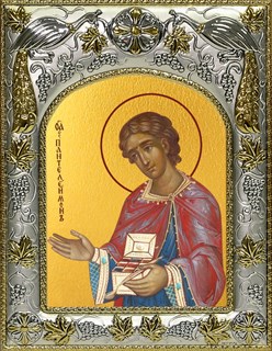 Икона Пантелеймон великомученик и целитель, 14х18 см 26164