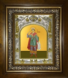 Икона Соломон праотец, царь и пророк, в киоте 20х24 см 26192
